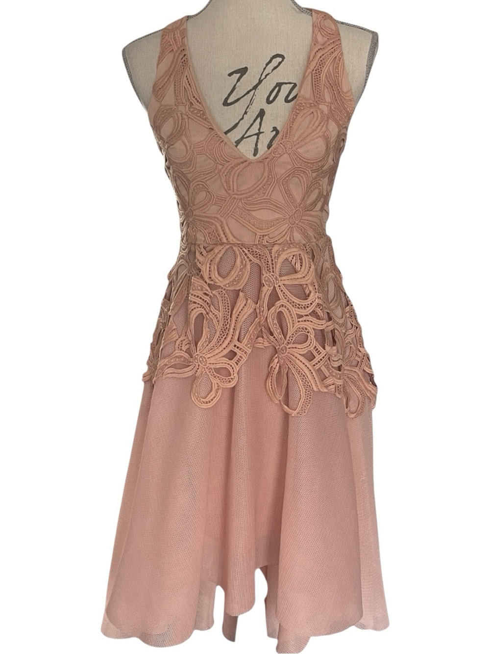 Elliatt Blush/Nude Sleeveless Asymmetrical Lace Mesh Crinoline Dress (XS)